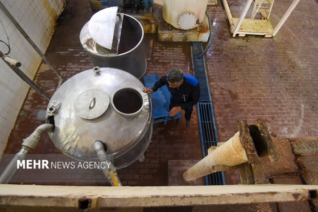 تولید رب گوجه فرنگی