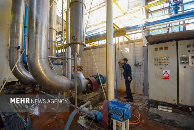 تولید رب گوجه فرنگی