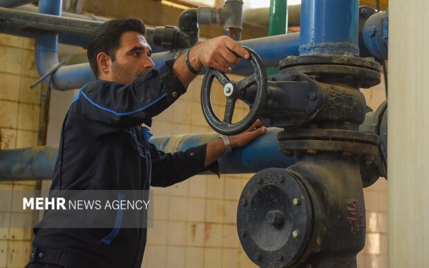 تولید رب گوجه فرنگی