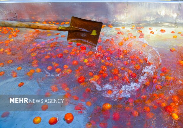 تولید رب گوجه فرنگی