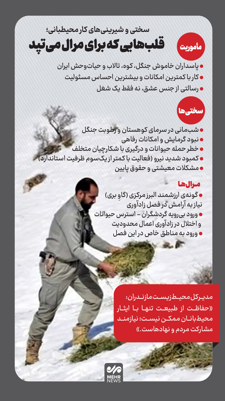 قلبهایی که برای مرال و گوزن می تپد