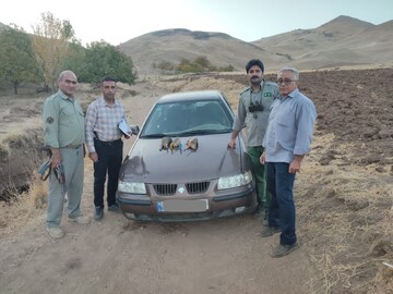 دستگیری شکارچیان غیرمجاز در عملیات مشترک سه شهرستان
