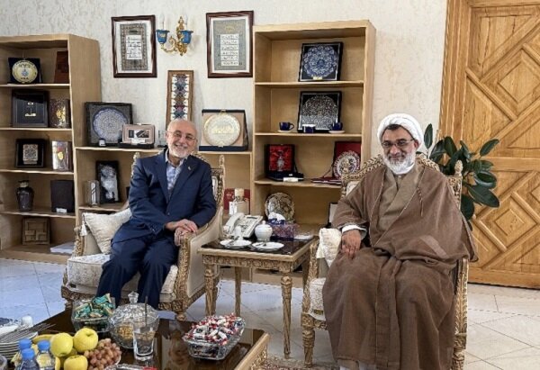 دیدار دبیر شورای عالی انقلاب فرهنگی با رئیس بنیاد ایرانشناسی