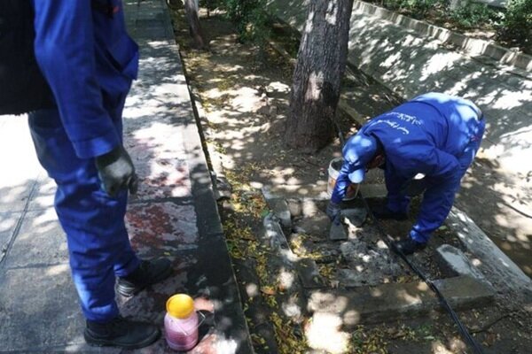 آغاز همکاری علمی برای مبارزه با جانوران موذی و سگهای ولگرد