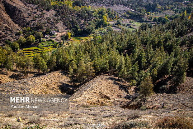 کندلوس؛ مسیری در دل طبیعت