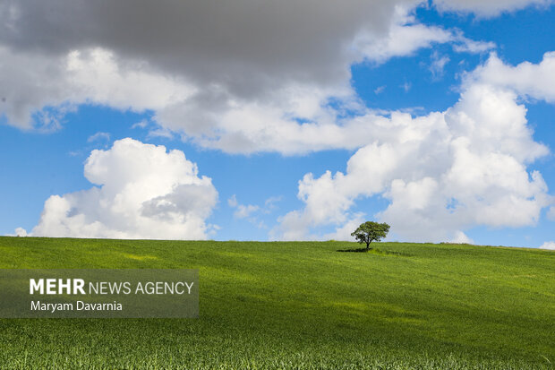 لحظه‌های گم شده