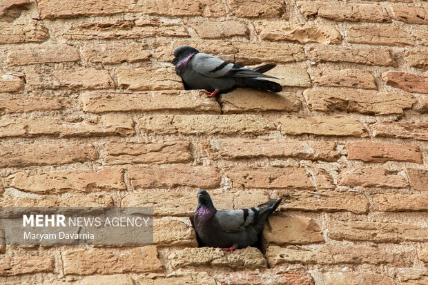 لحظه‌های گم شده