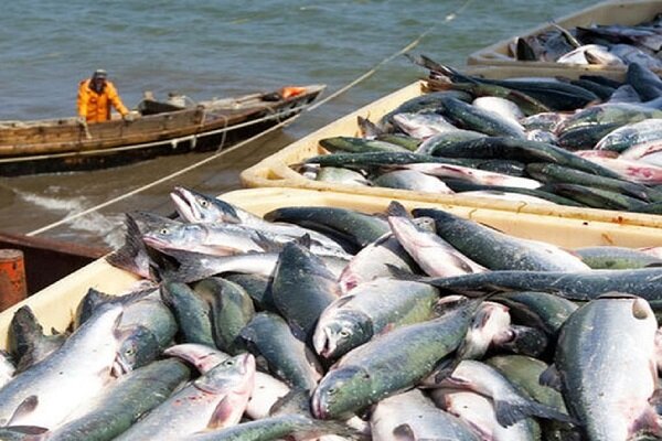 واگذاري،مديريت،بنادر،بندر،دولت،ماهيگيري،نقش،طرح،طاهري