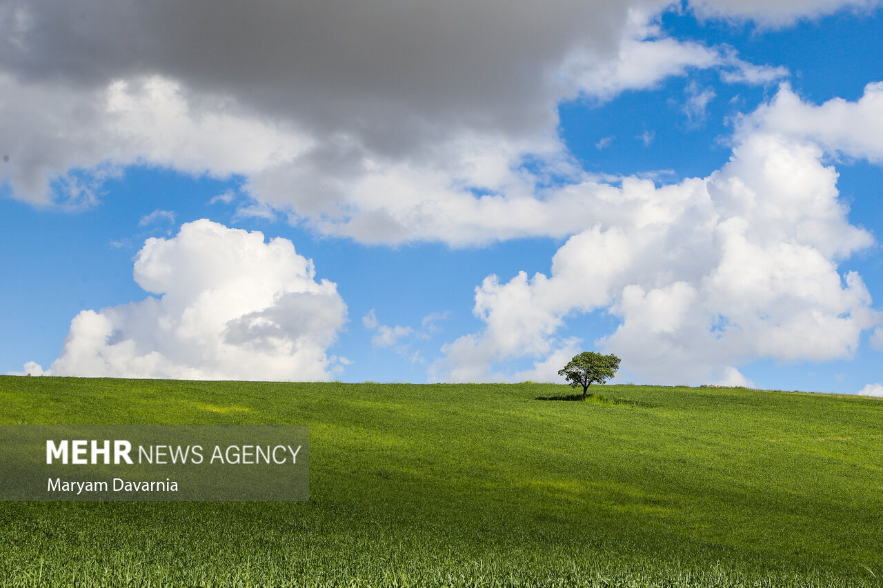 دوربين،ثبت،عكاسي،ديدن،تصوير