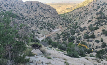 بیراهه بی‌مجوز در قلب جنگل‌های داراب