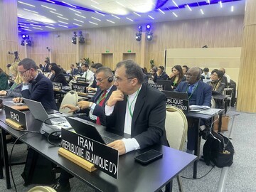 بررسی وضعیت غزه در نشست کمیسیون روابط خارجی یونسکو