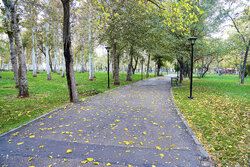 غیوری خواه: دمای هوای مشهد بین ۴ تا ۲۱ درجه در نوسان خواهد بود