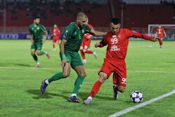 شروع سخت زمستان تراکتور با الدحیل/ دغدغه بزرگ اسکوچیچ برای صعود سرخ‌ها