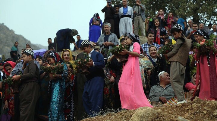 Kurdish wedding rituals; celebration of culture, music, unity