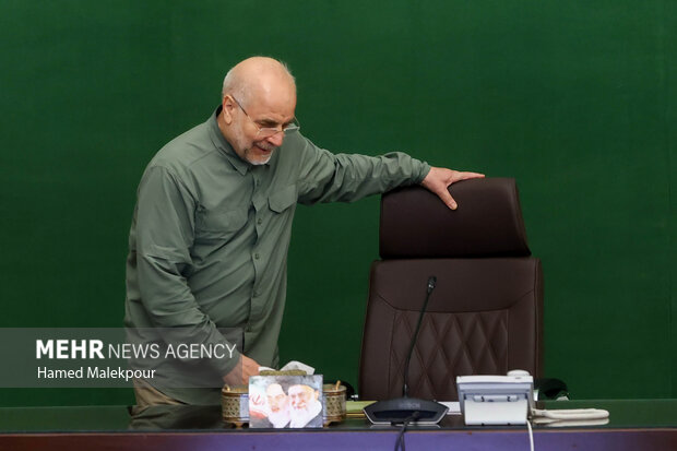 جلسه شورای هماهنگی مجلس شورای اسلامی