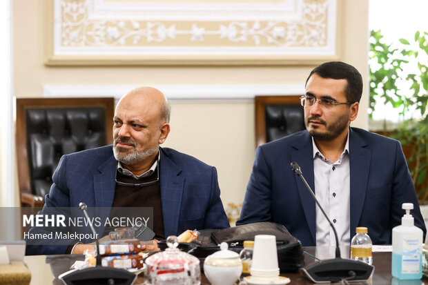 جلسه شورای هماهنگی مجلس شورای اسلامی