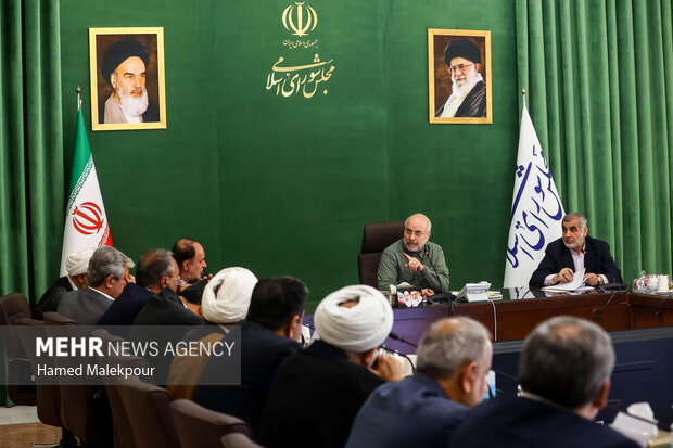 جلسه شورای هماهنگی مجلس شورای اسلامی