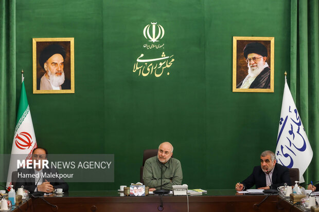 جلسه شورای هماهنگی مجلس شورای اسلامی