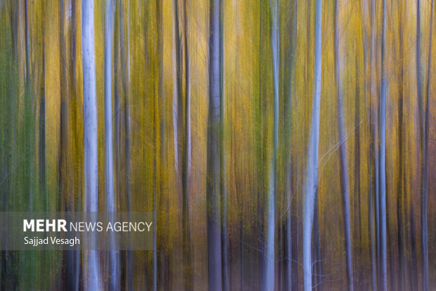 خزان هزار رنگ؛ همدان