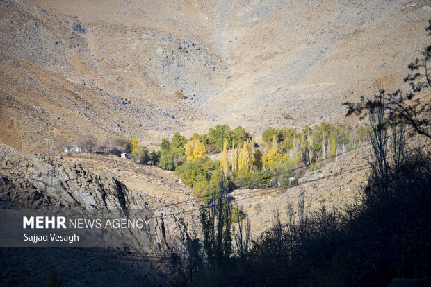 خزان هزار رنگ؛ همدان