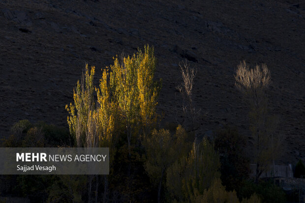 خزان هزار رنگ؛ همدان