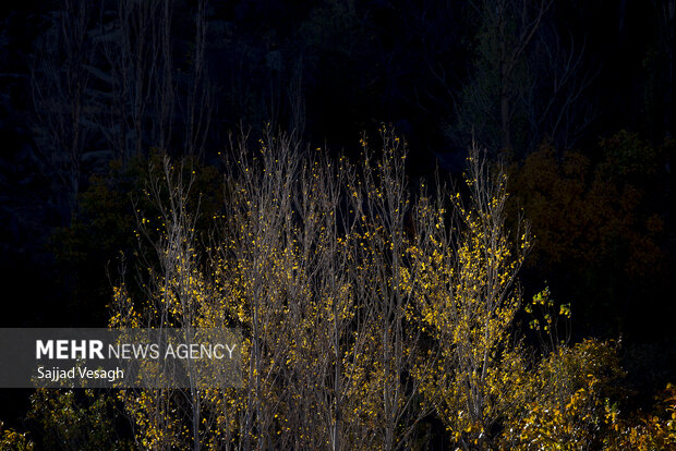 خزان هزار رنگ؛ همدان