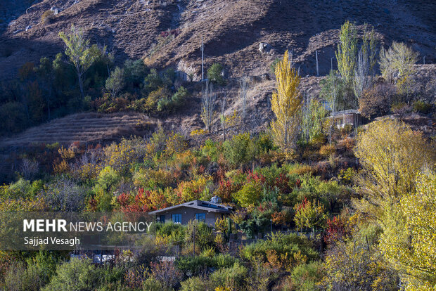 خزان هزار رنگ؛ همدان