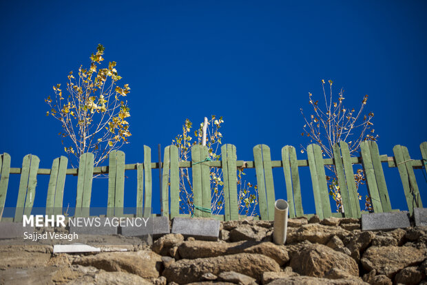 خزان هزار رنگ؛ همدان