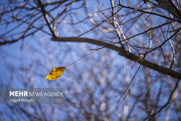 خزان هزار رنگ؛ همدان