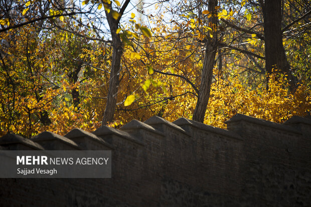 خزان هزار رنگ؛ همدان