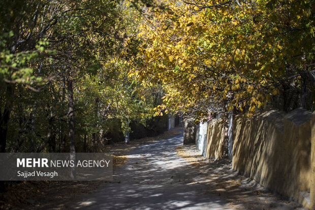 خزان هزار رنگ؛ همدان