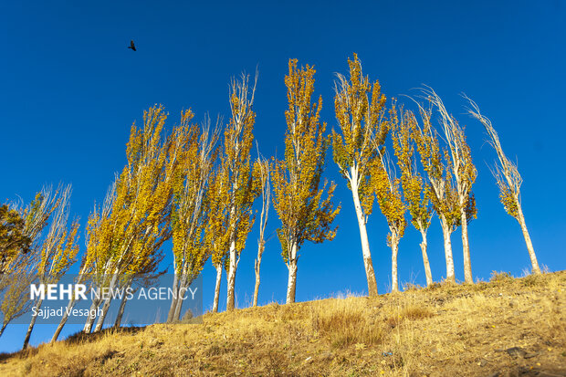 خزان هزار رنگ؛ همدان