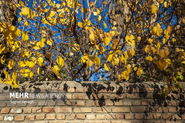 خزان هزار رنگ؛ همدان