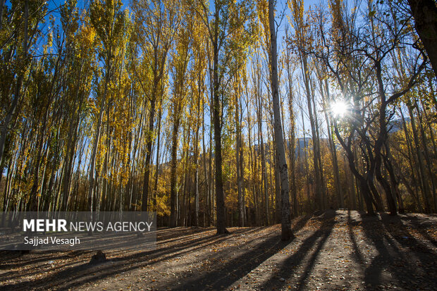 خزان هزار رنگ؛ همدان