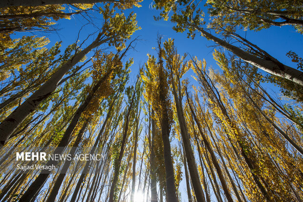 خزان هزار رنگ؛ همدان