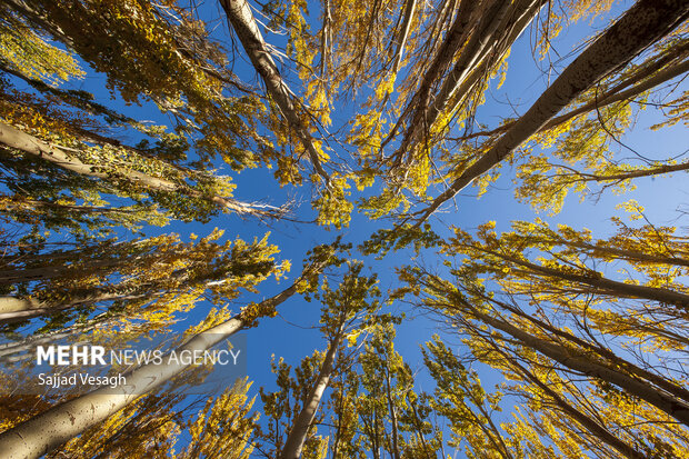 خزان هزار رنگ؛ همدان