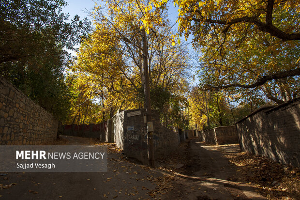 خزان هزار رنگ؛ همدان