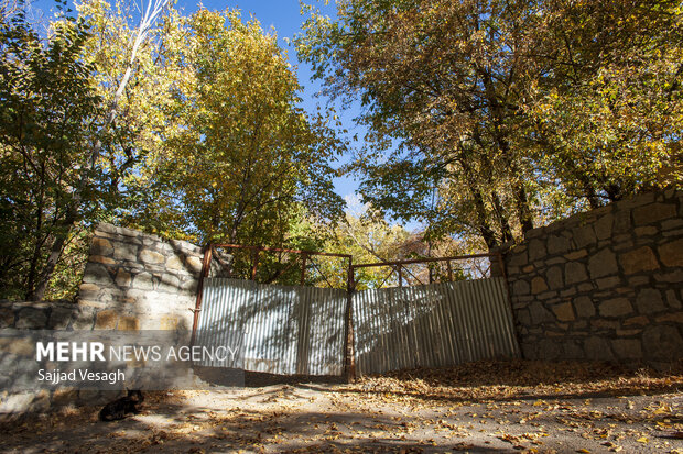 خزان هزار رنگ؛ همدان