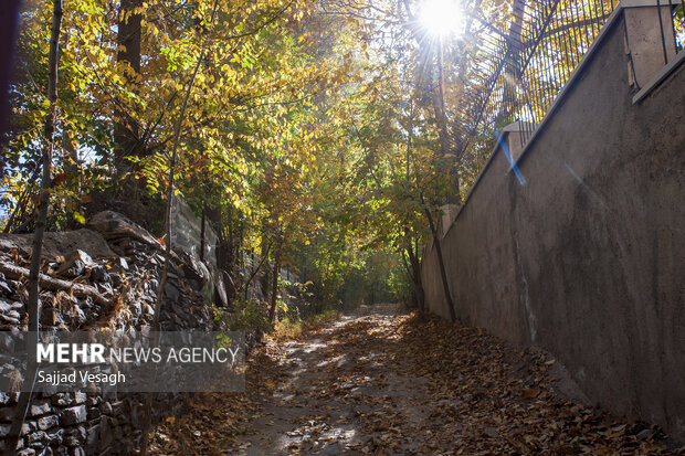 خزان هزار رنگ؛ همدان