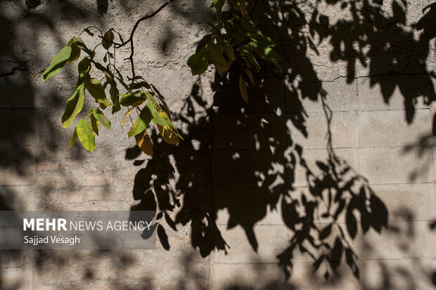 خزان هزار رنگ؛ همدان