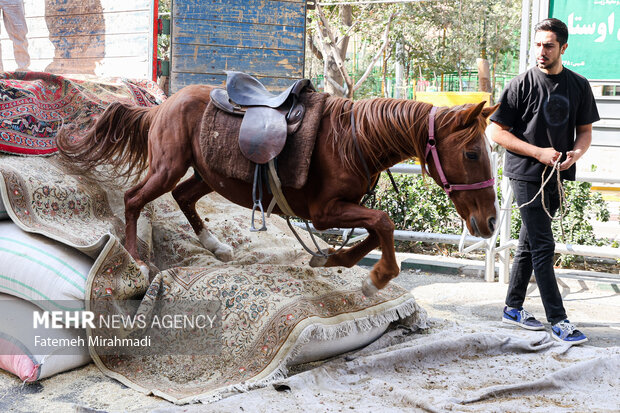 رژه سربازان هخامنشی در خیابان انقلاب تهران