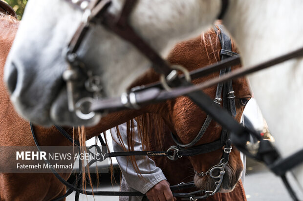 رژه سربازان هخامنشی در خیابان انقلاب تهران