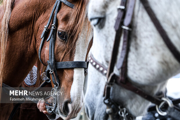 رژه سربازان هخامنشی در خیابان انقلاب تهران