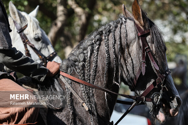 رژه سربازان هخامنشی در خیابان انقلاب تهران