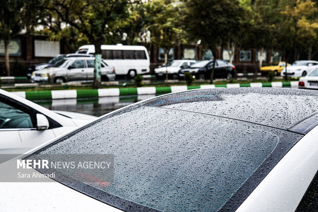 مشهد پس از باران