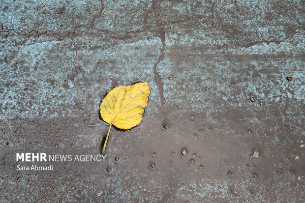مشهد پس از باران