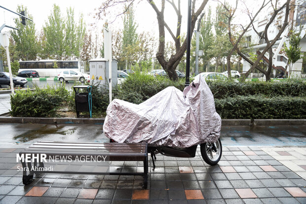 مشهد پس از باران