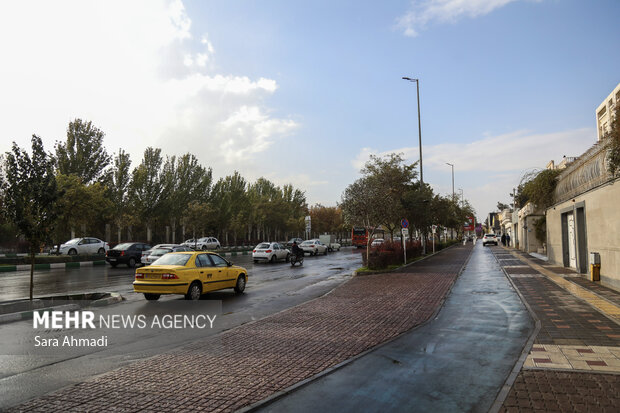 مشهد پس از باران