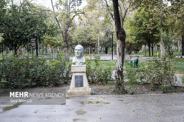 مشهد پس از باران