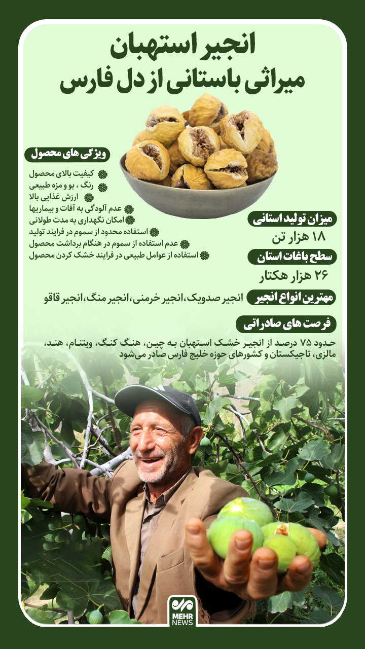 اینفوگرافیک؛ انجیر استهبان میراثی باستانی از دل فارس